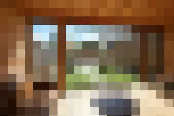Blauwgras 64 Borne thumbnail 39