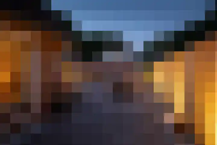 Blauwgras 64 Borne thumbnail 4