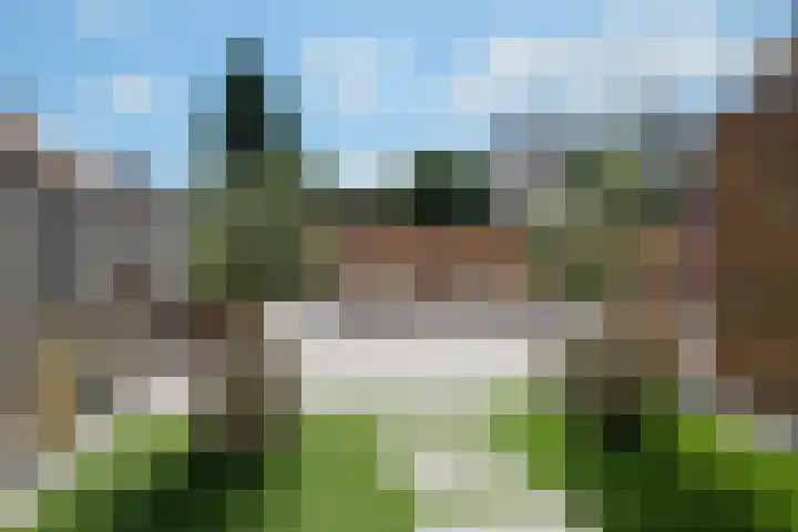 Blauwgras 64 Borne thumbnail 42