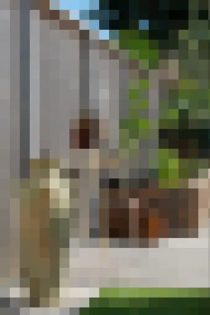 Blauwgras 64 Borne thumbnail 44