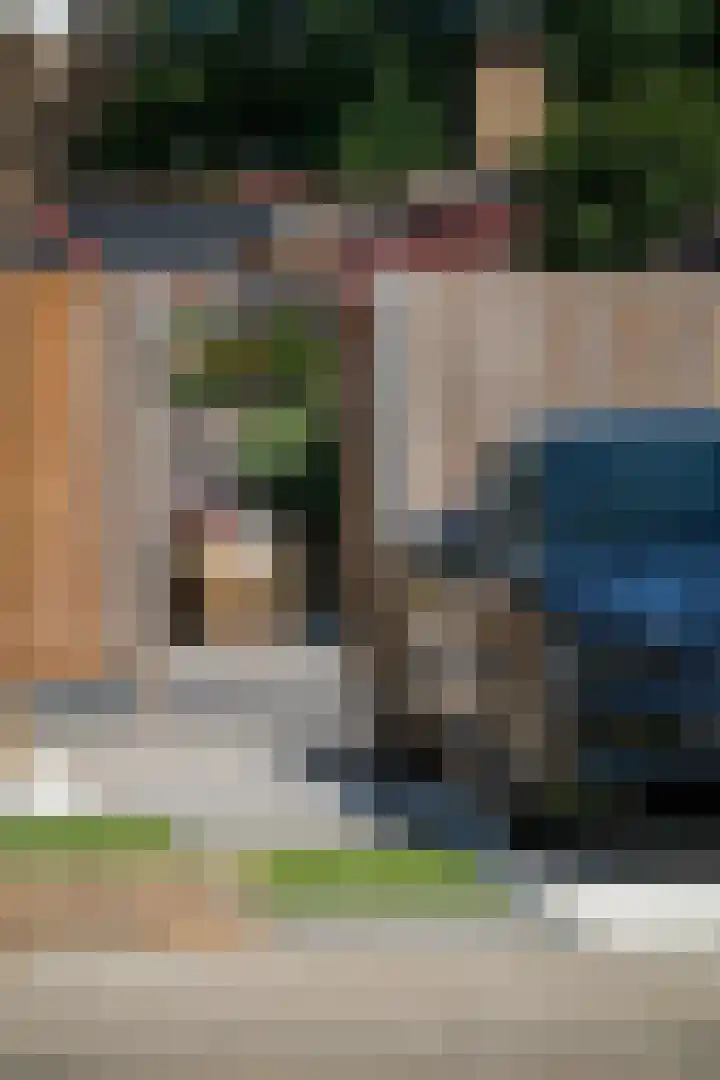 Blauwgras 64 Borne thumbnail 45