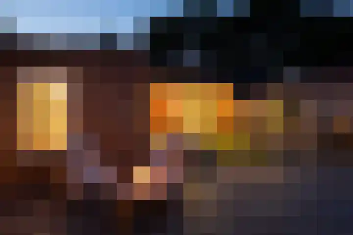 Blauwgras 64 Borne thumbnail 46