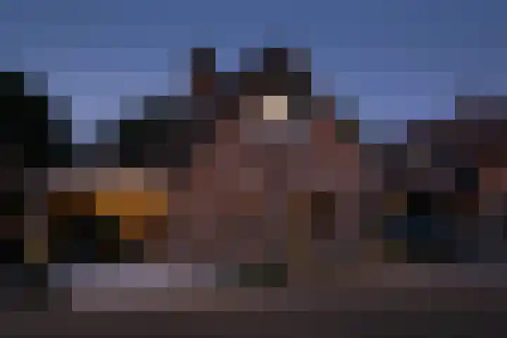 Blauwgras 64 Borne thumbnail 48