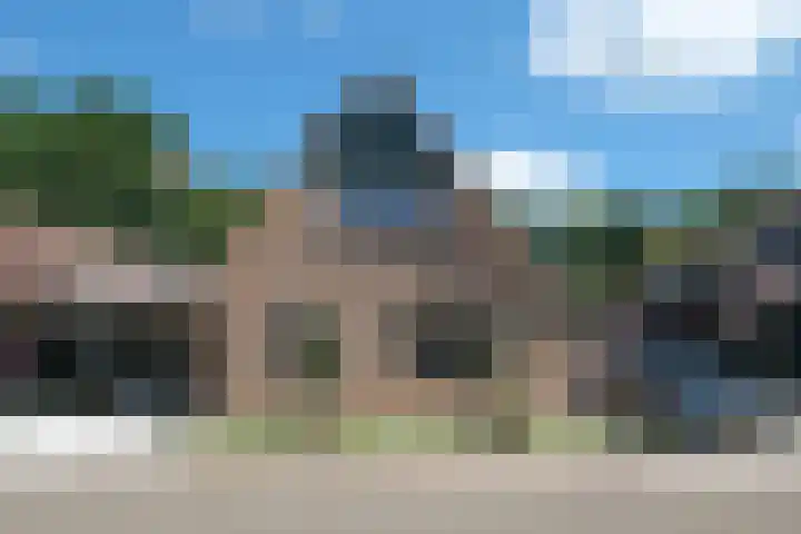 Blauwgras 64 Borne thumbnail 50