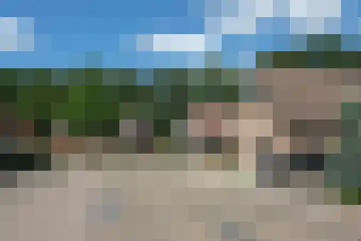 Blauwgras 64 Borne thumbnail 52