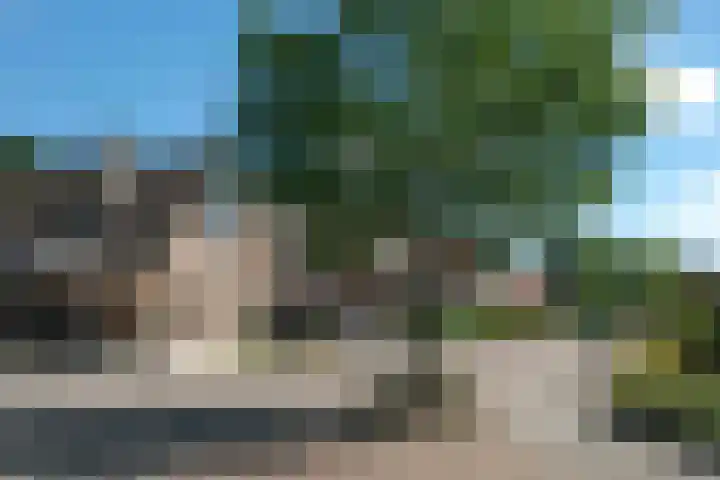 Blauwgras 64 Borne thumbnail 53