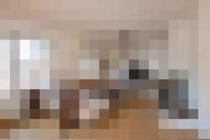 Blauwgras 64 Borne thumbnail 8