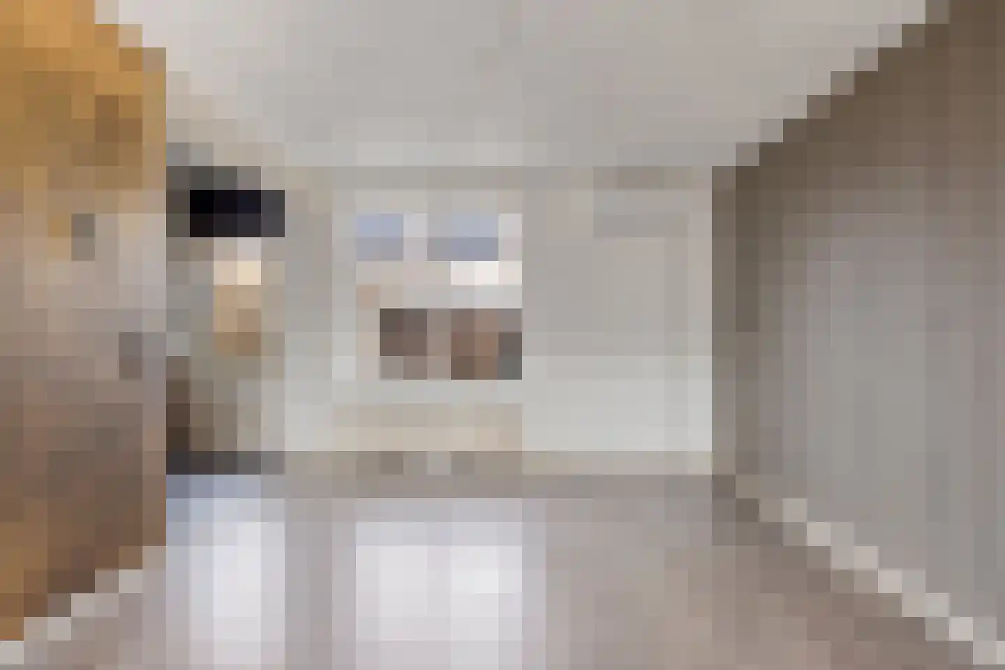Blauwgras 7 Borne thumbnail 10