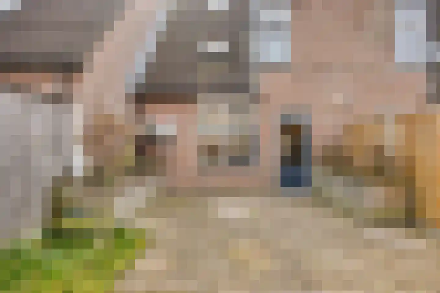 Blauwgras 7 Borne thumbnail 27