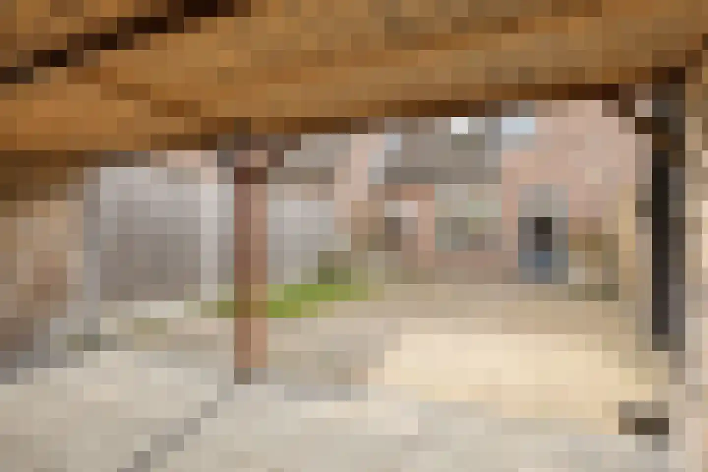 Blauwgras 7 Borne thumbnail 29
