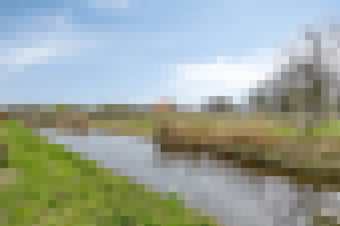 Blauwgras 7 Borne thumbnail 31