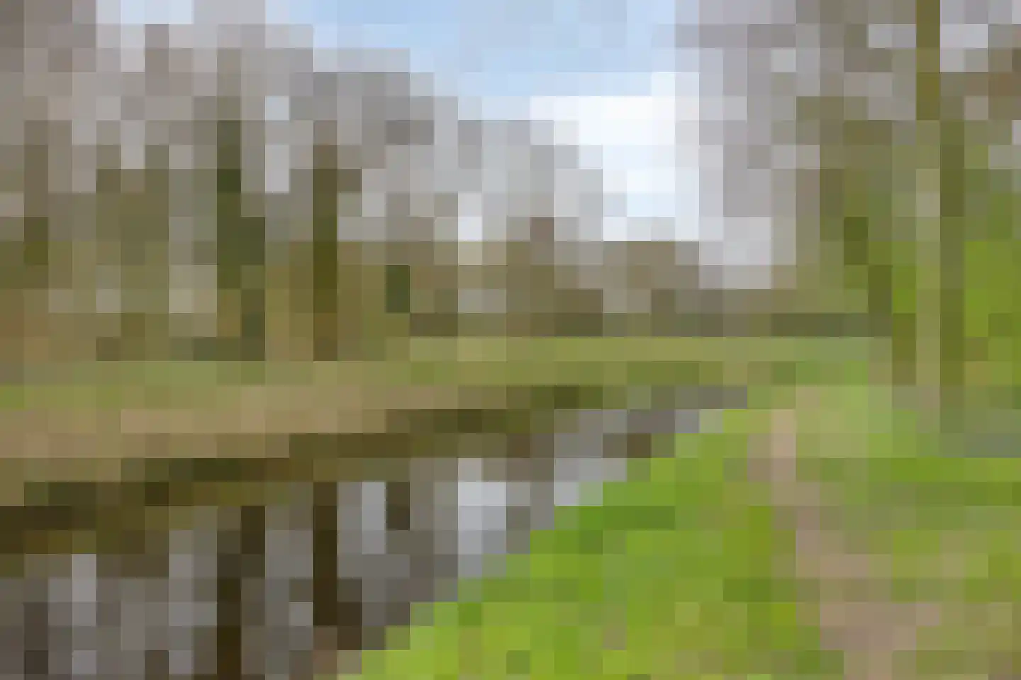 Blauwgras 7 Borne thumbnail 32