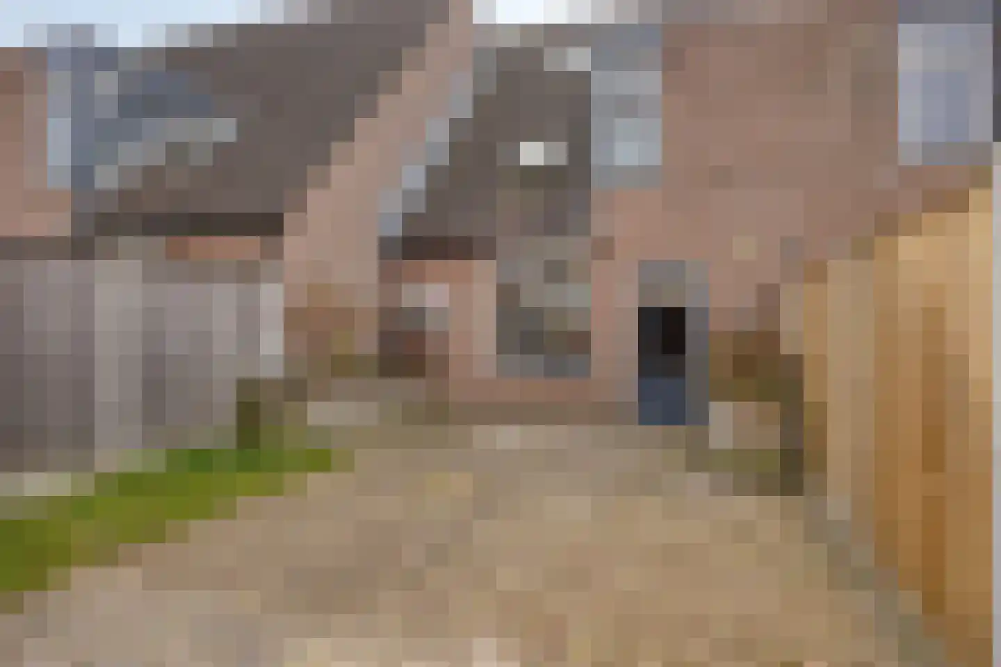 Blauwgras 7 Borne thumbnail 6
