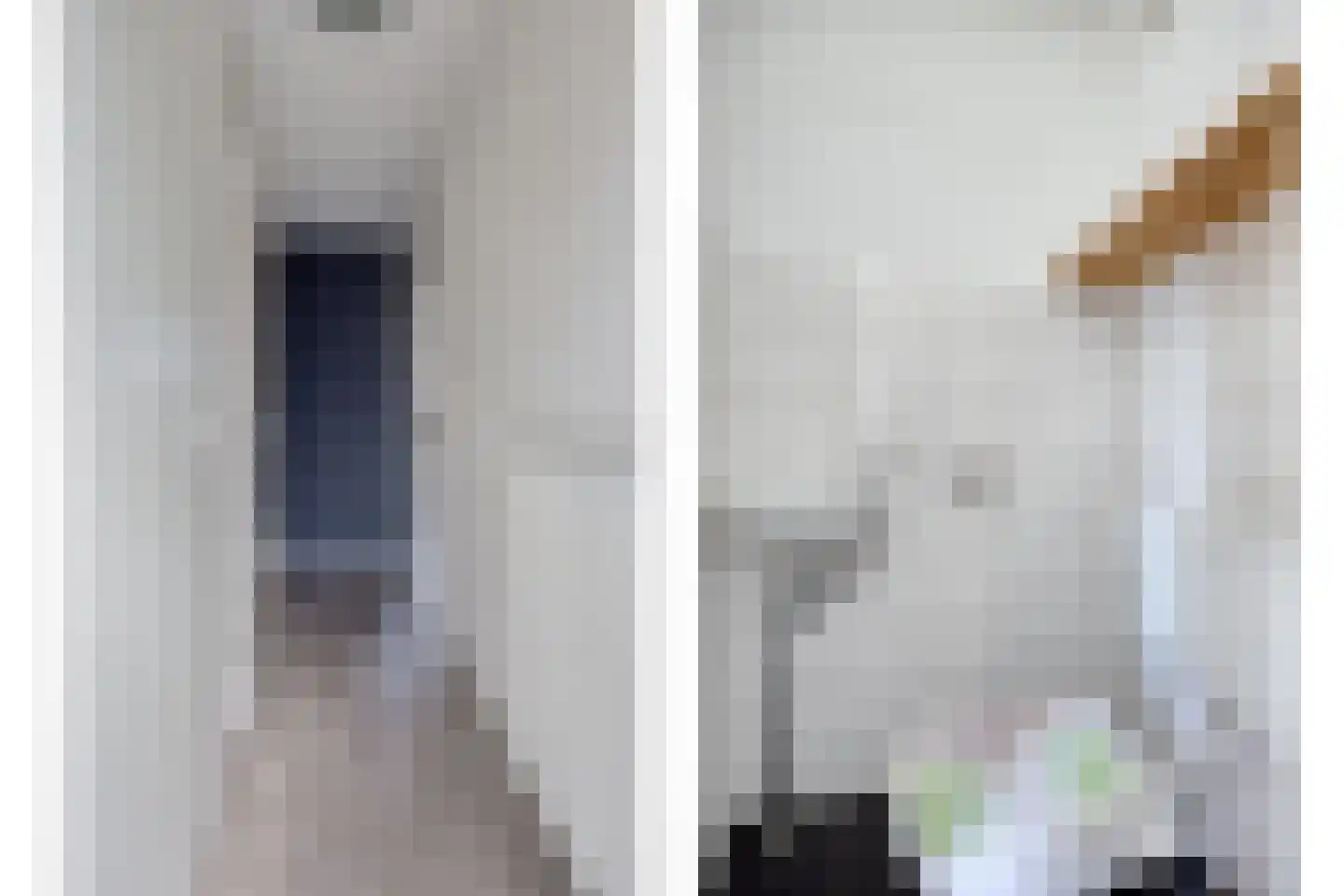 Blauwgras 7 Borne thumbnail 9