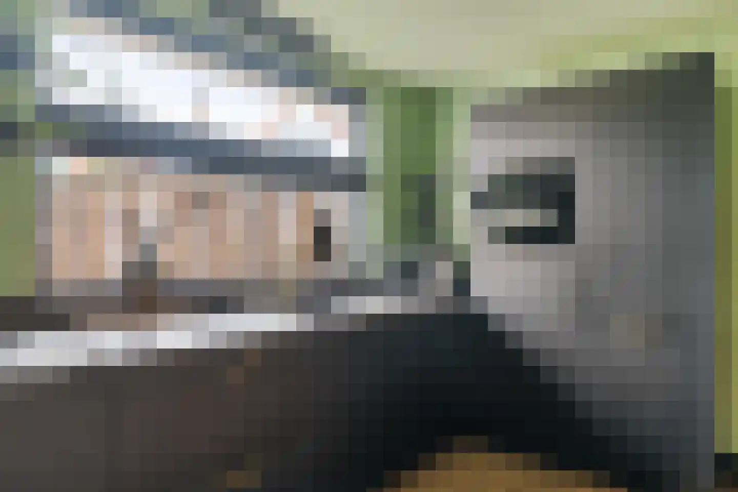 Blauwgras 84 Borne thumbnail 15