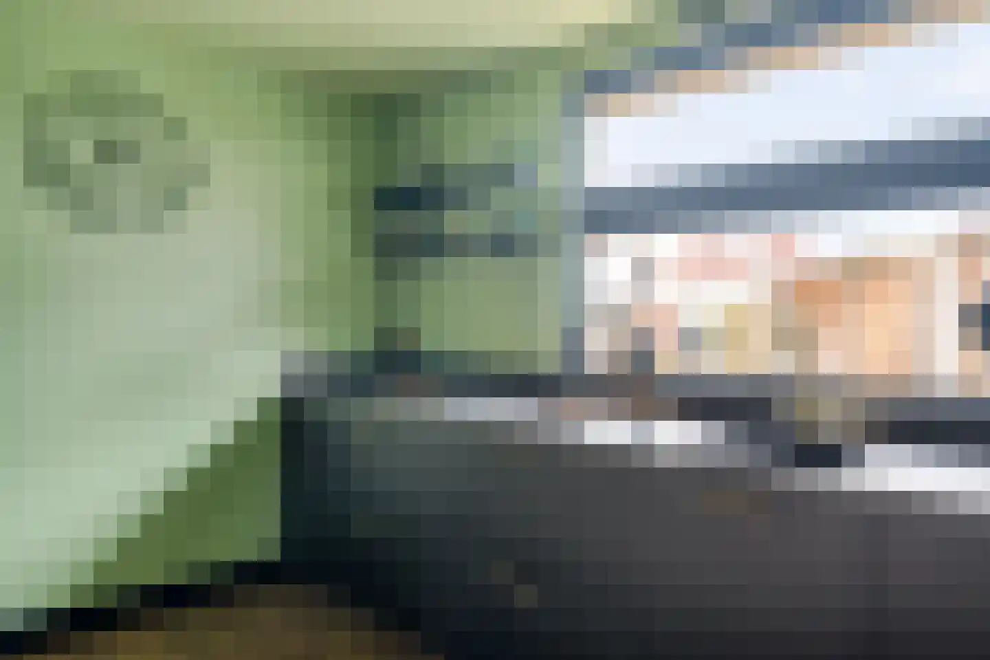 Blauwgras 84 Borne thumbnail 16