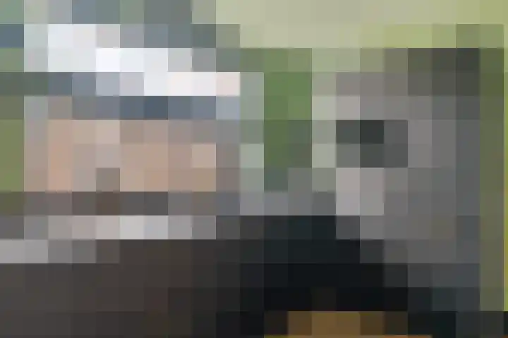 Blauwgras 84 Borne thumbnail 16