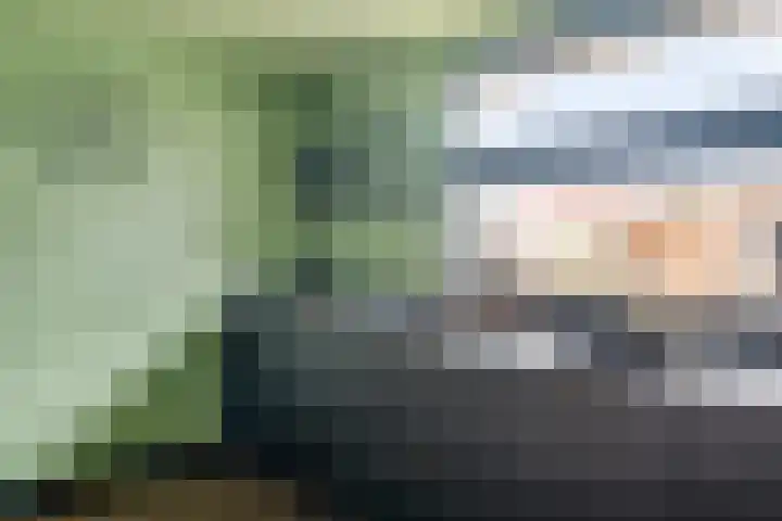 Blauwgras 84 Borne thumbnail 17