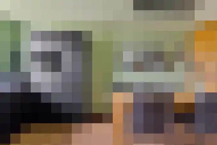 Blauwgras 84 Borne thumbnail 18
