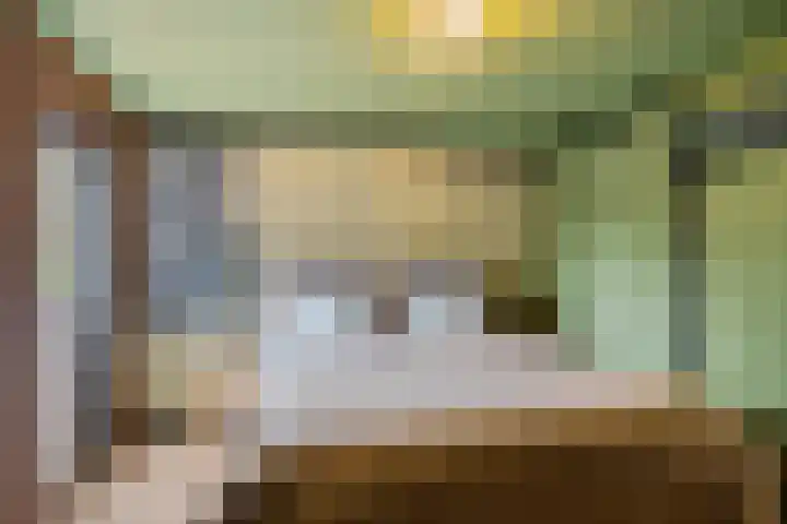 Blauwgras 84 Borne thumbnail 19