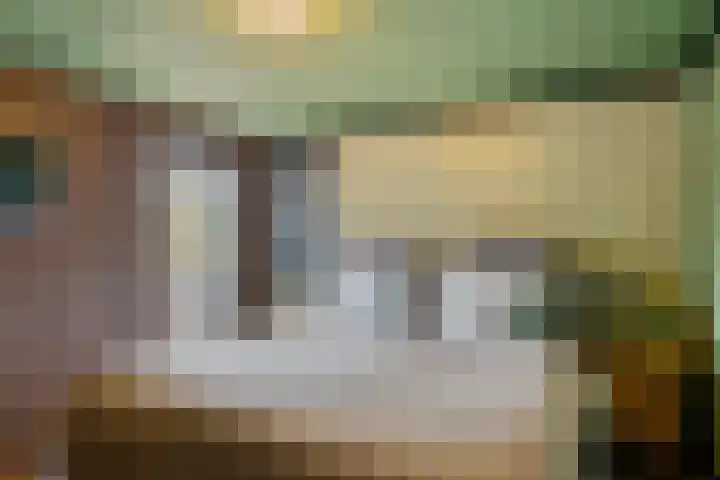 Blauwgras 84 Borne thumbnail 20