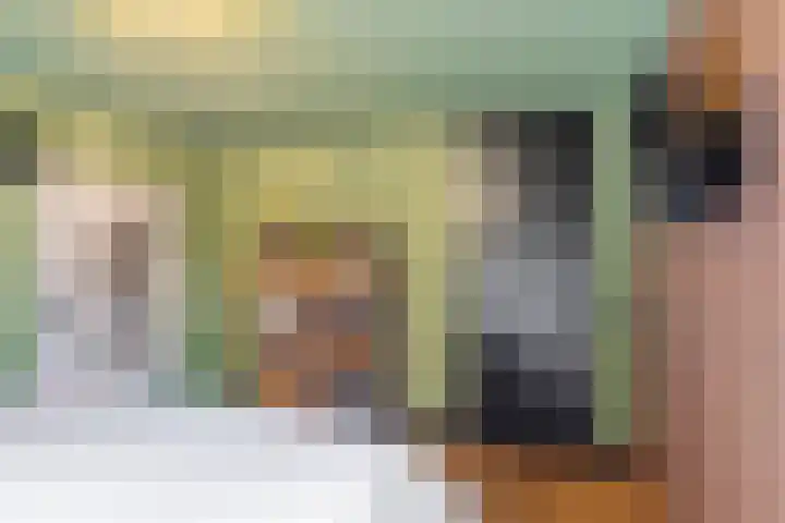 Blauwgras 84 Borne thumbnail 21