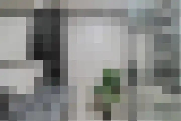 Blauwgras 84 Borne thumbnail 22