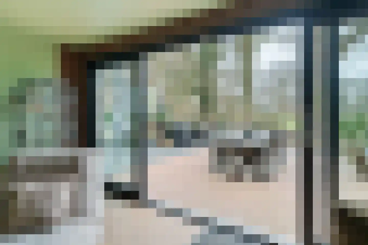 Blauwgras 84 Borne thumbnail 23