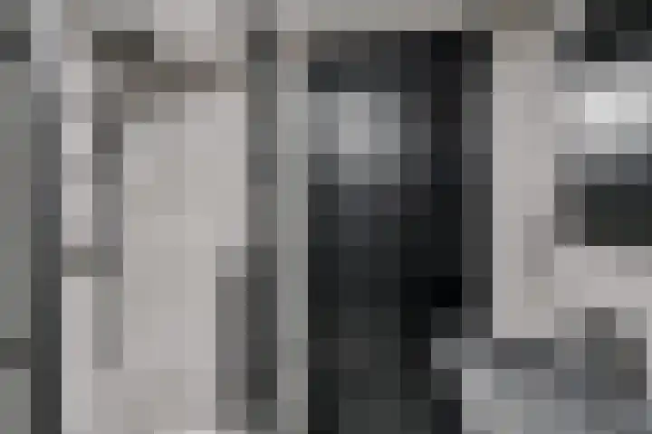 Blauwgras 84 Borne thumbnail 23