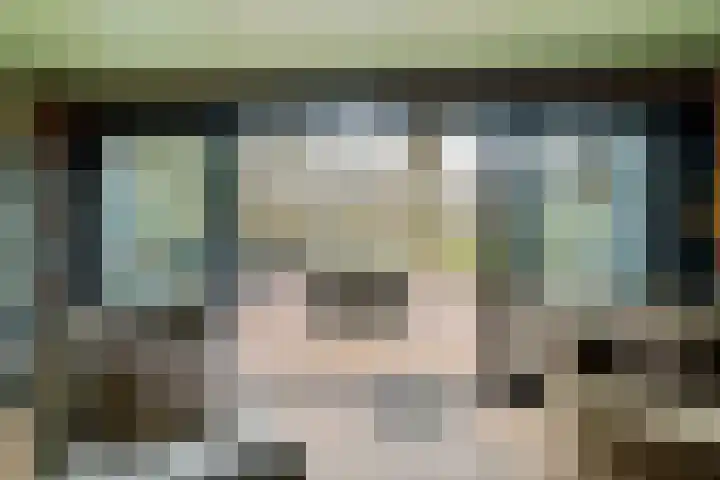Blauwgras 84 Borne thumbnail 25