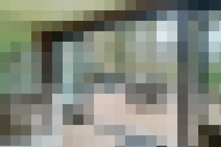 Blauwgras 84 Borne thumbnail 26
