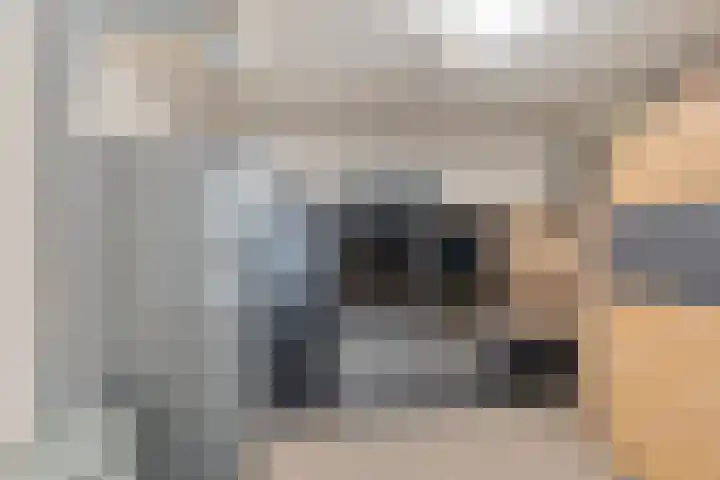 Blauwgras 84 Borne thumbnail 27