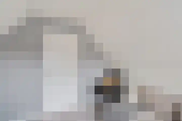 Blauwgras 84 Borne thumbnail 31