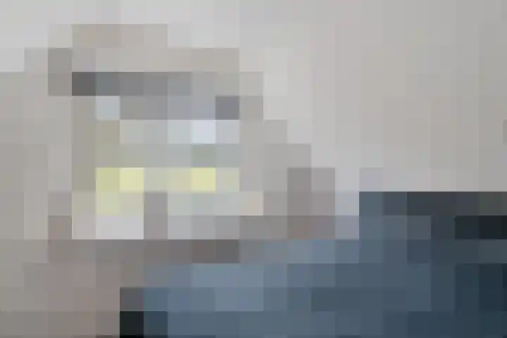 Blauwgras 84 Borne thumbnail 32