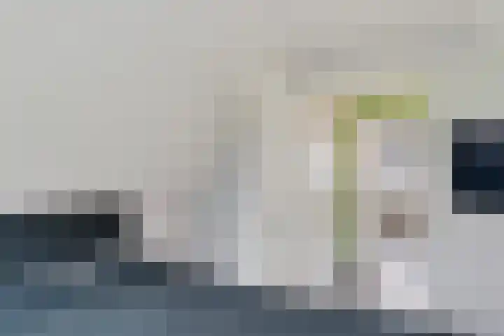 Blauwgras 84 Borne thumbnail 33