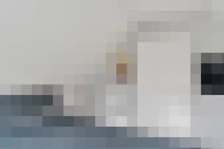 Blauwgras 84 Borne thumbnail 34