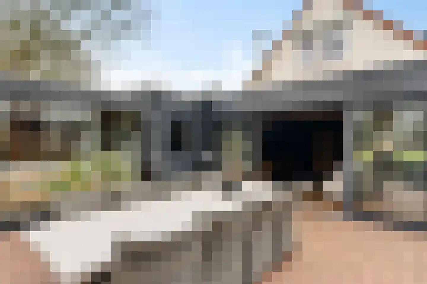 Blauwgras 84 Borne thumbnail 36