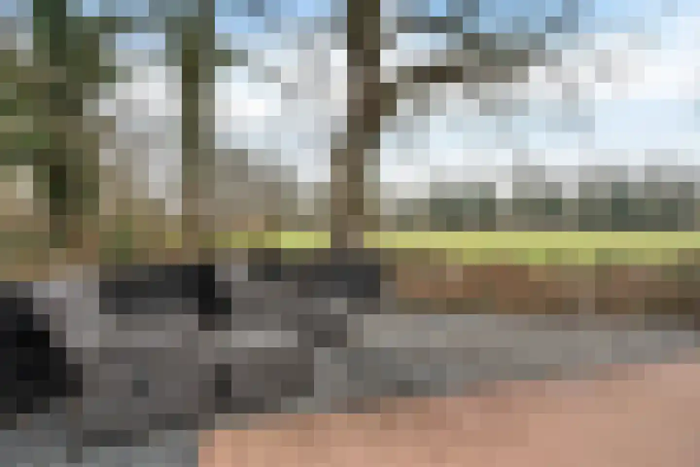 Blauwgras 84 Borne thumbnail 37