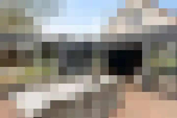Blauwgras 84 Borne thumbnail 37