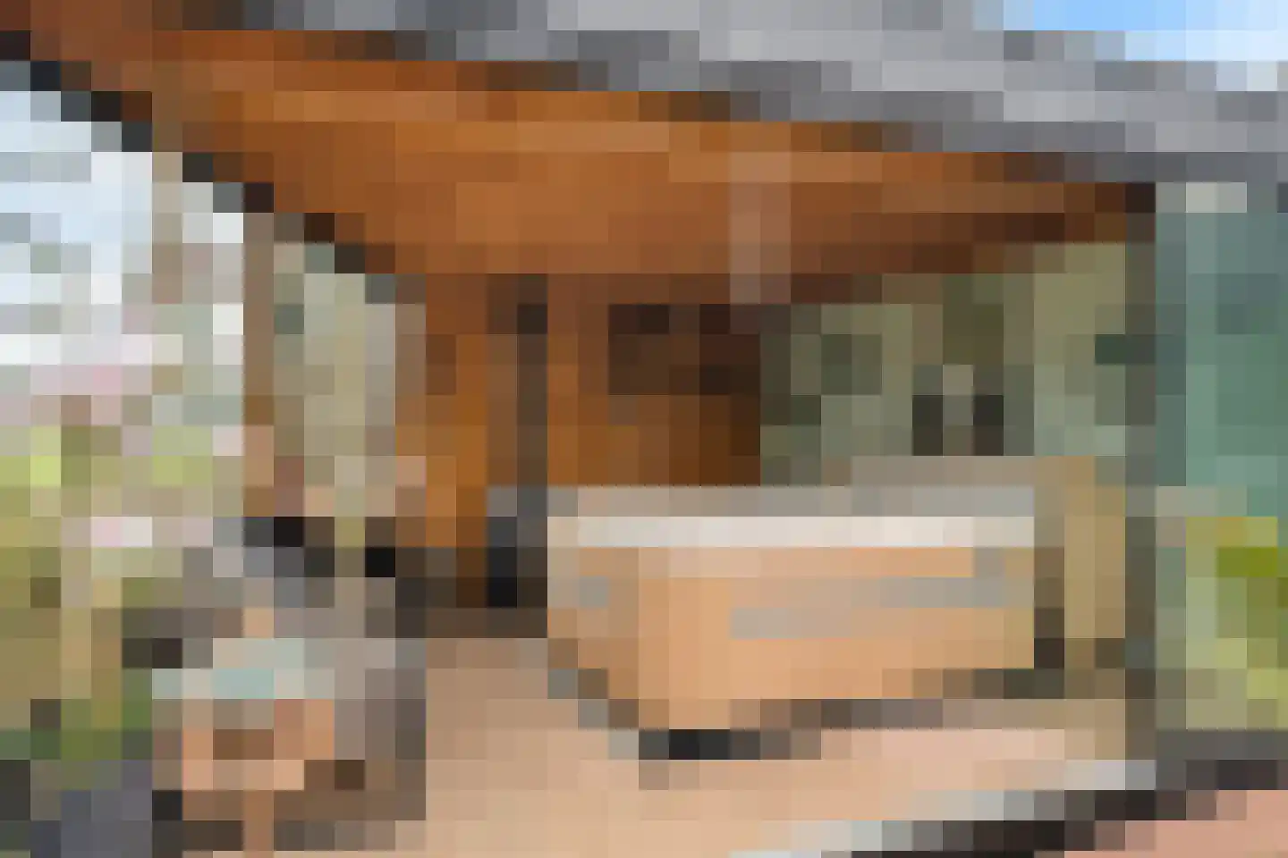 Blauwgras 84 Borne thumbnail 39