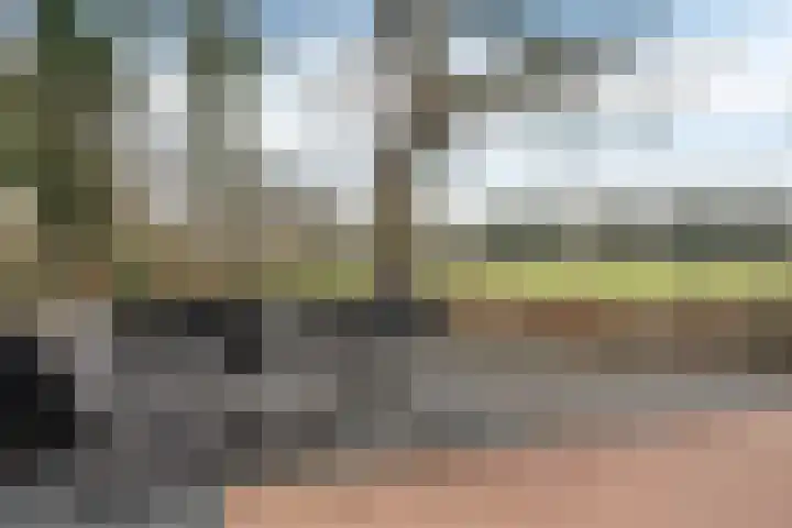 Blauwgras 84 Borne thumbnail 39