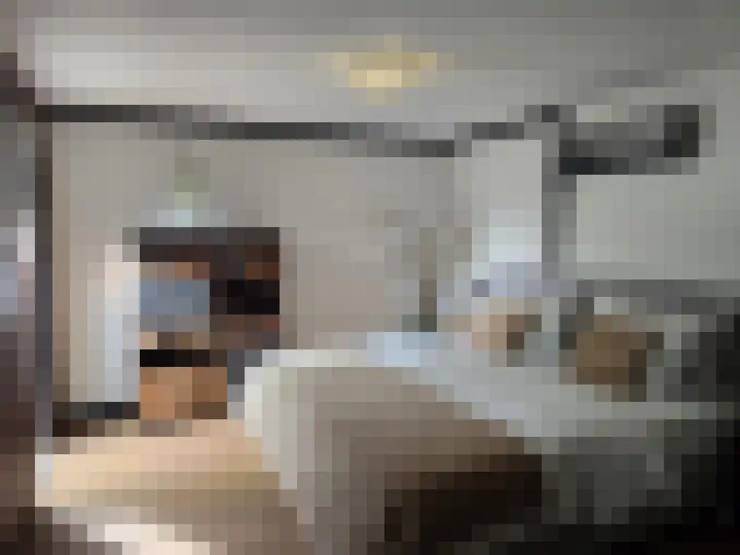 Blauwgras 84 Borne thumbnail 4