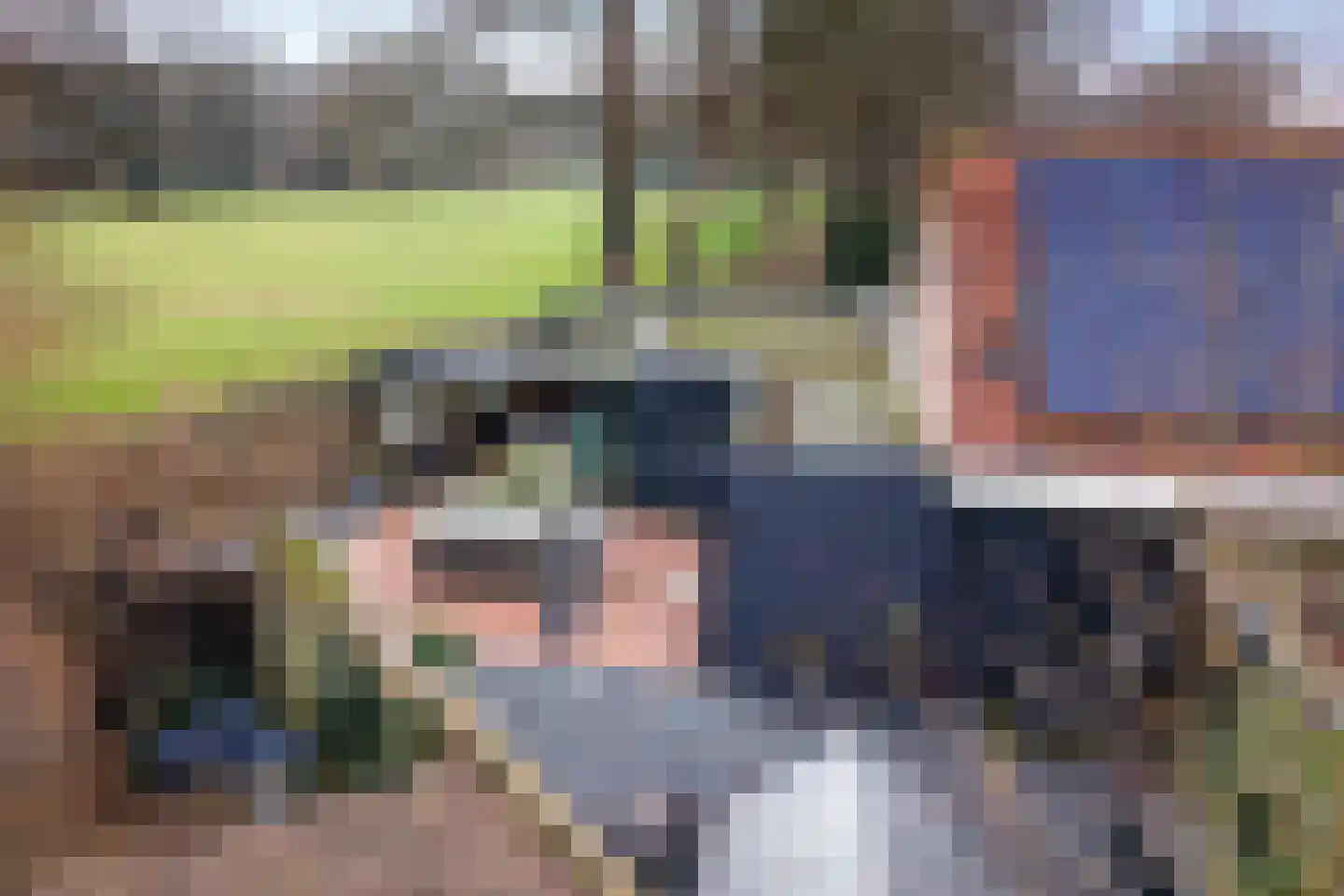 Blauwgras 84 Borne thumbnail 41