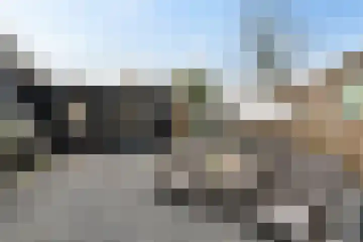 Blauwgras 84 Borne thumbnail 42