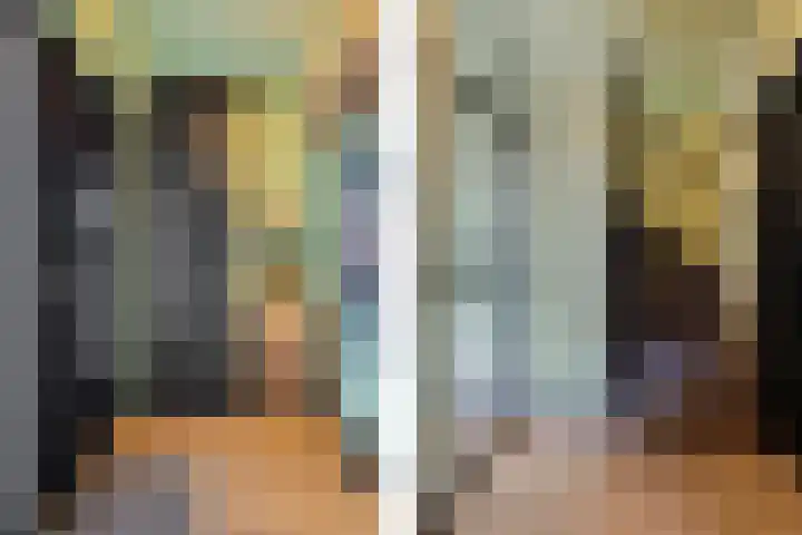 Blauwgras 84 Borne thumbnail 9