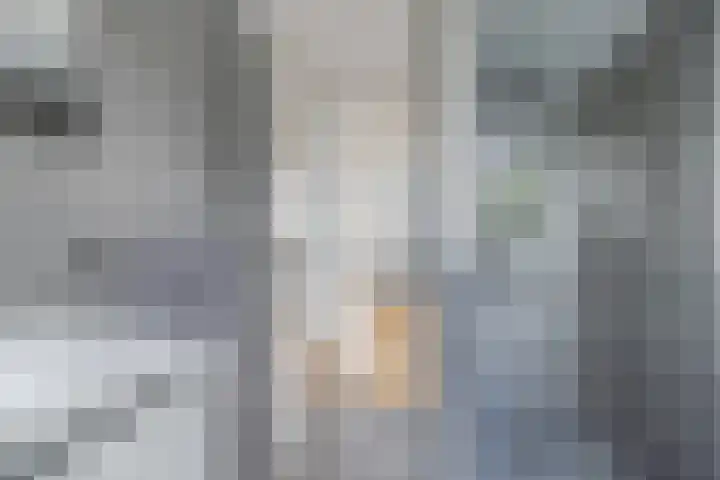 Blauwgras 87 Rotterdam thumbnail 22