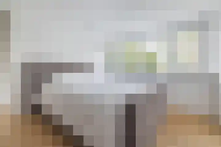 Blauwgras 87 Rotterdam thumbnail 29