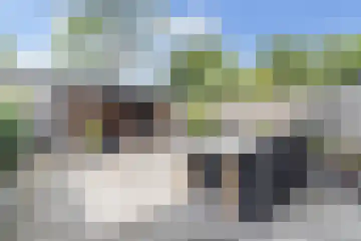 Blauwgras 87 Rotterdam thumbnail 31