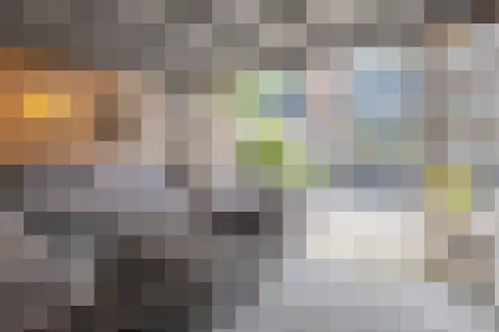 Blauwgras 87 Rotterdam thumbnail 32