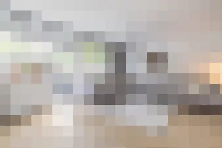 Blauwgras 87 Rotterdam thumbnail 6